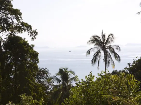 10 Rai Sea View Land For Sale