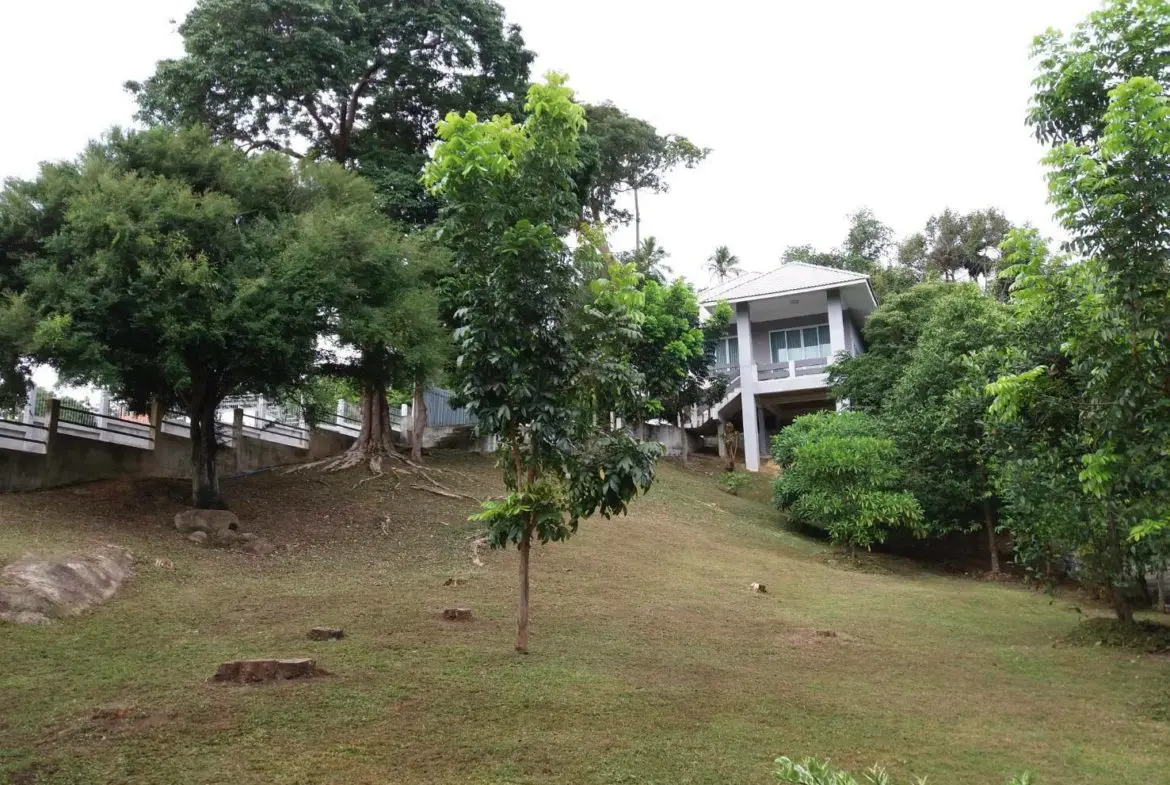 Samui villa for sale Garden