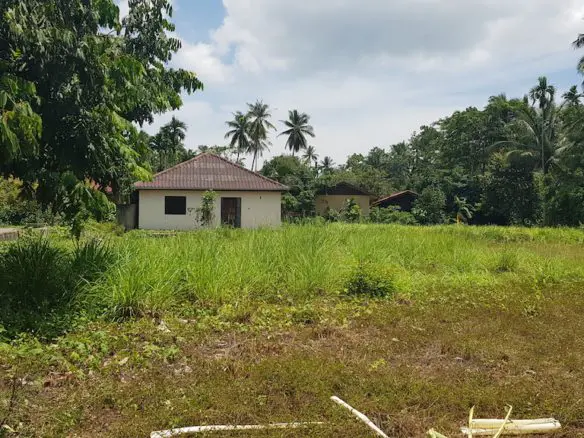 Lipa Noi 2 Rai Land Plot