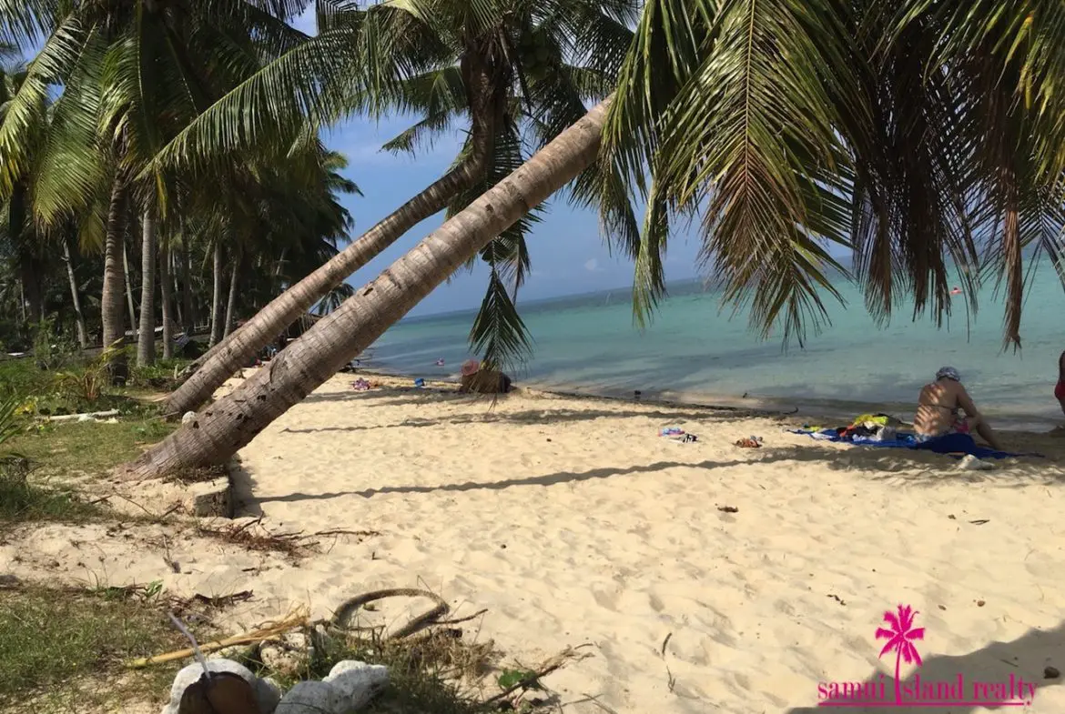 Maenam Beach Land For Sale Ko Samui Palm Fringed Shore