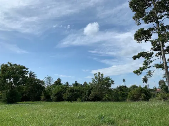 Koh Samui Land For Sale