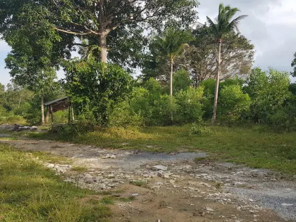 Tropical View Land Plot For Sale Namuang