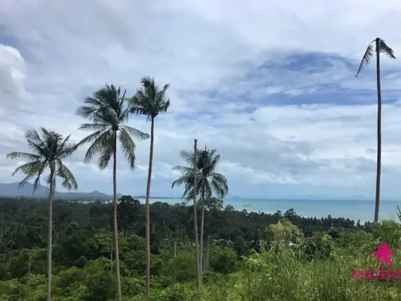 Sunset Sea View Plots For Sale Samui