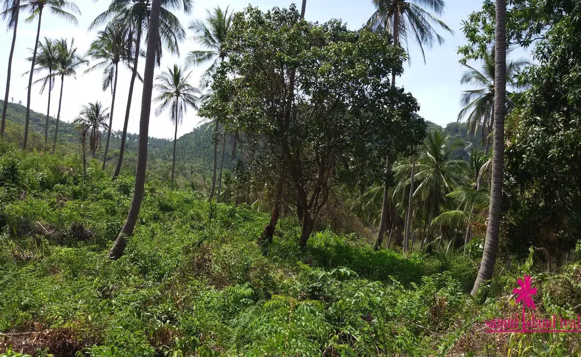 Gentle Slope Of The Land