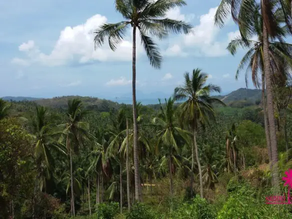 Taling Ngam Sea View Land For Sale Koh Samui