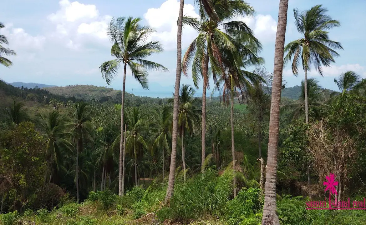 View To The Sea