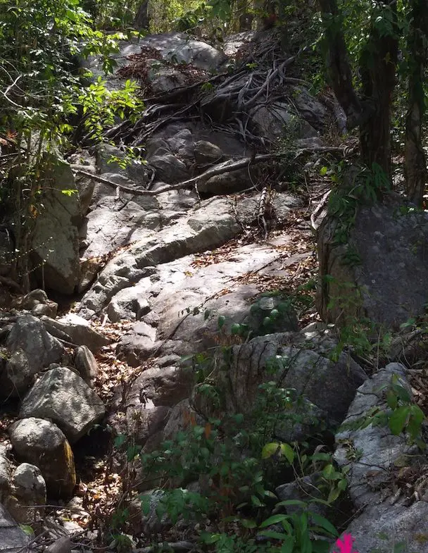 Seasonal Stream