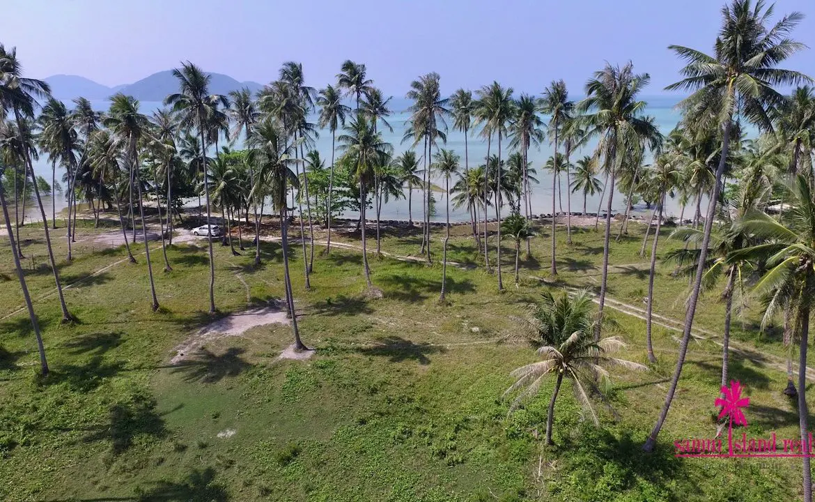 Tong Krut Beachfront Land Ko Samui Coconuts On The Land