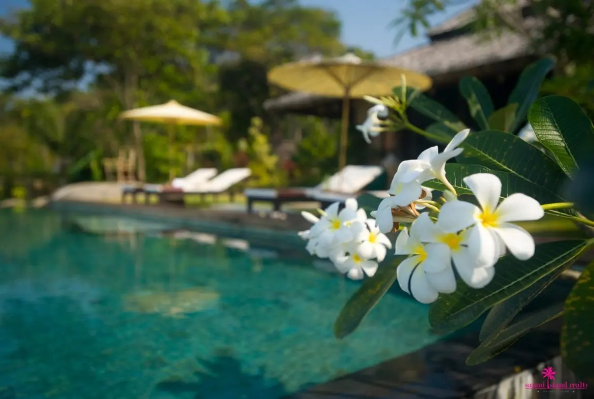 Villa Samudra For Rent Koh Samui, Frangipani Flowers