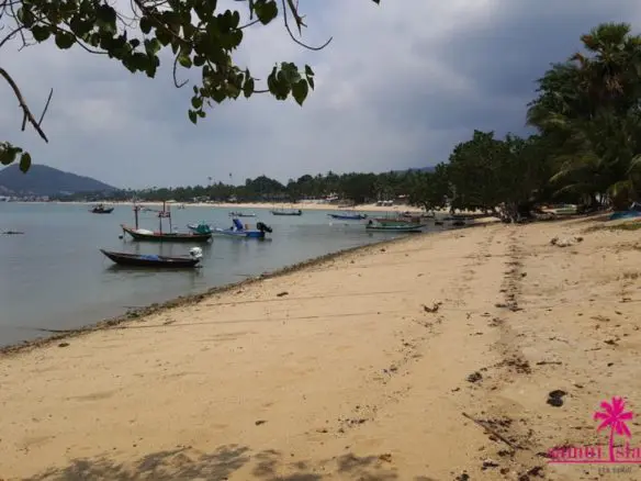 Koh Samui Beachfront Land For Sale Bophut Beach