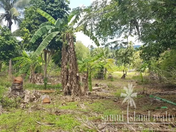 Land For Sale In Lamai Koh Samui 9