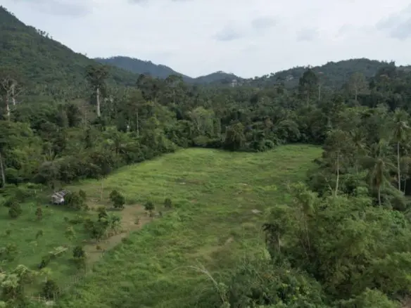 Land For Sale In Taling Ngam Koh Samui
