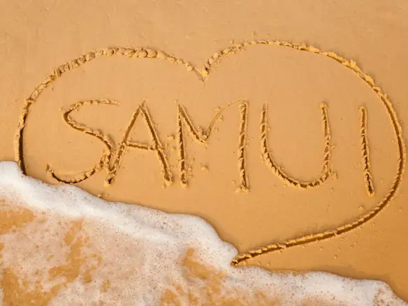 reasons to invest in Koh Samui real Estate & property