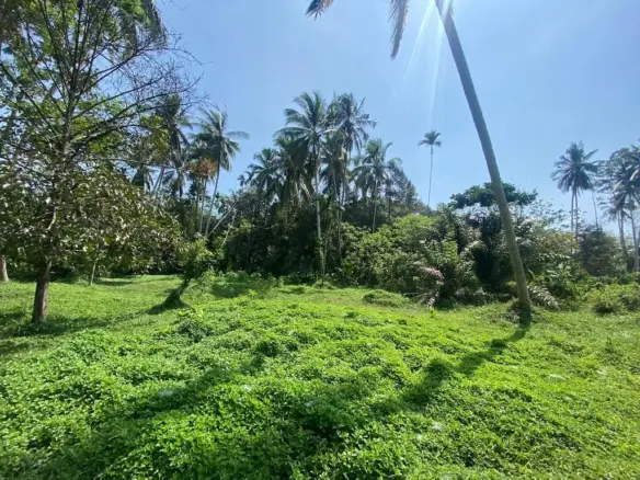 Koh Samui Land In Lamai 4