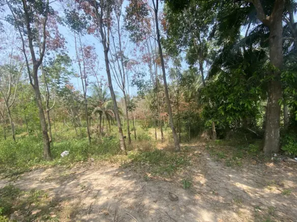 Koh Samui Land For Sale In Tong Krut Entrance