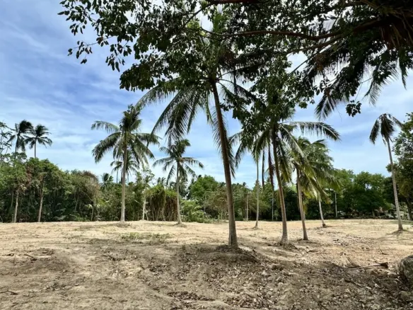 Bang Po Ko Samui Land 6