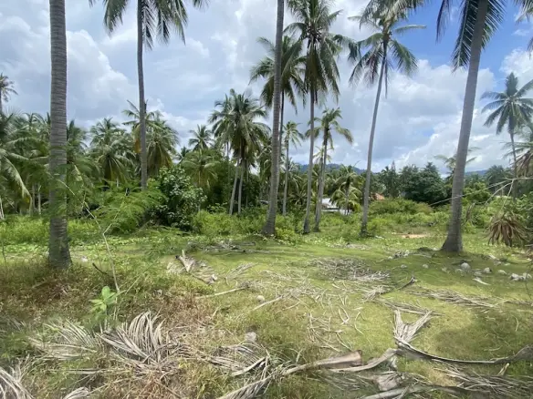 Koh Samui Lipa Noi Land
