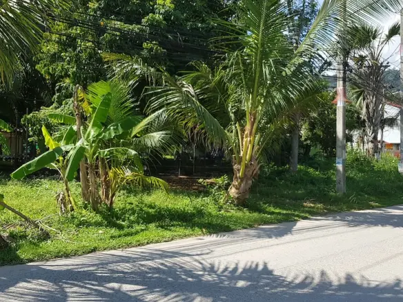 Ko Samui Chaweng Land Road