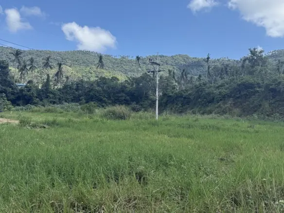 Koh Samui Lamai Land