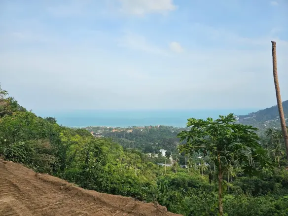 Koh Samui Sea View Land