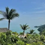 Unveiling the White Lotus Koh Samui Phenomenon