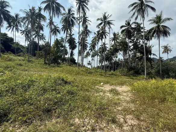 Land For Sale In Koh Samui's Southwest