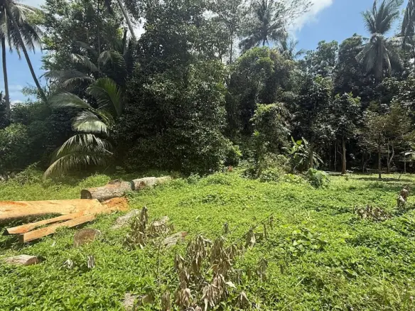 Land For Sale In Lipa Noi Koh Samui