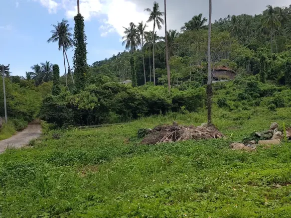 Koh Samui Land For Sale In Lamai