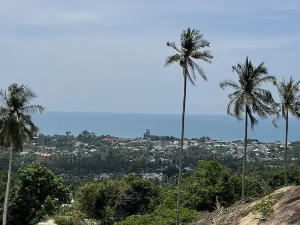 Koh Samui Sea View Land In Lamai