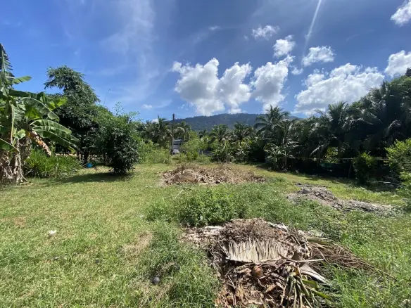 Land For Sale In Koh Samui Lamai