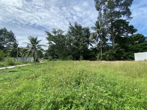 Land For Sale In Maenam Koh Samui