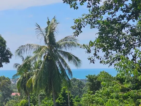 Koh Samui Sea View Land In Chaweng Ocean
