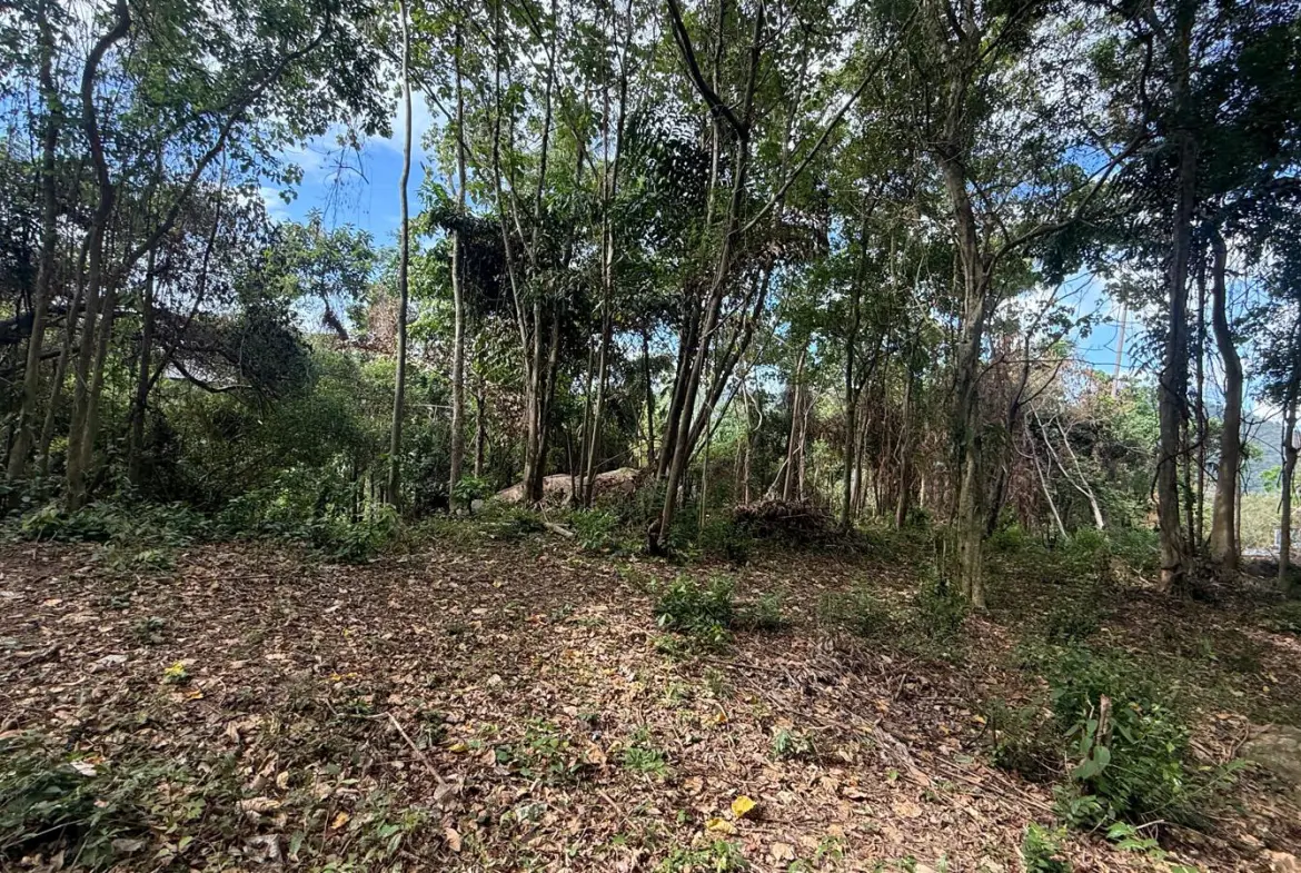 Koh Samui Land In Lamai For Sale