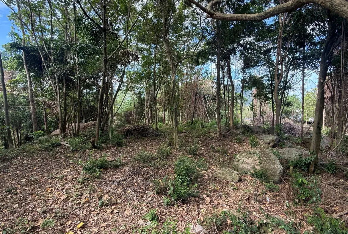 Koh Samui Land In Lamai For Sale