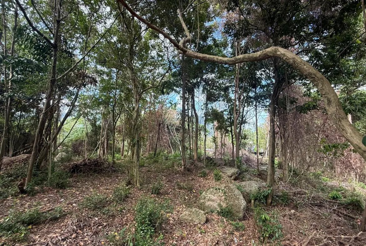 Koh Samui Land In Lamai For Sale