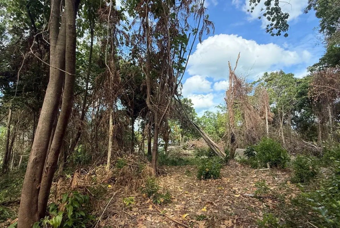 Koh Samui Land In Lamai For Sale