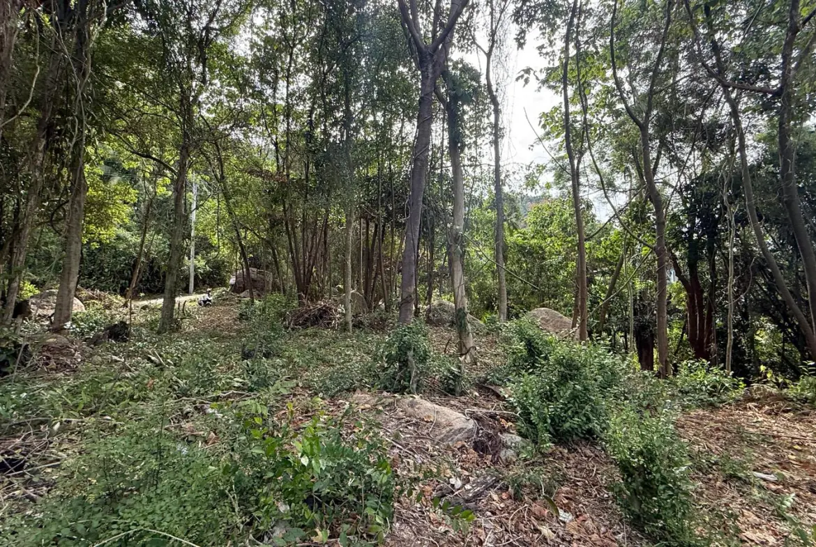 Koh Samui Land In Lamai For Sale