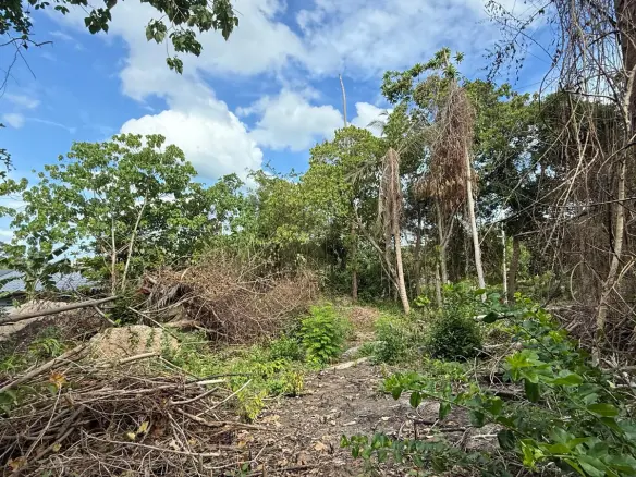 Koh Samui Land In Lamai For Sale