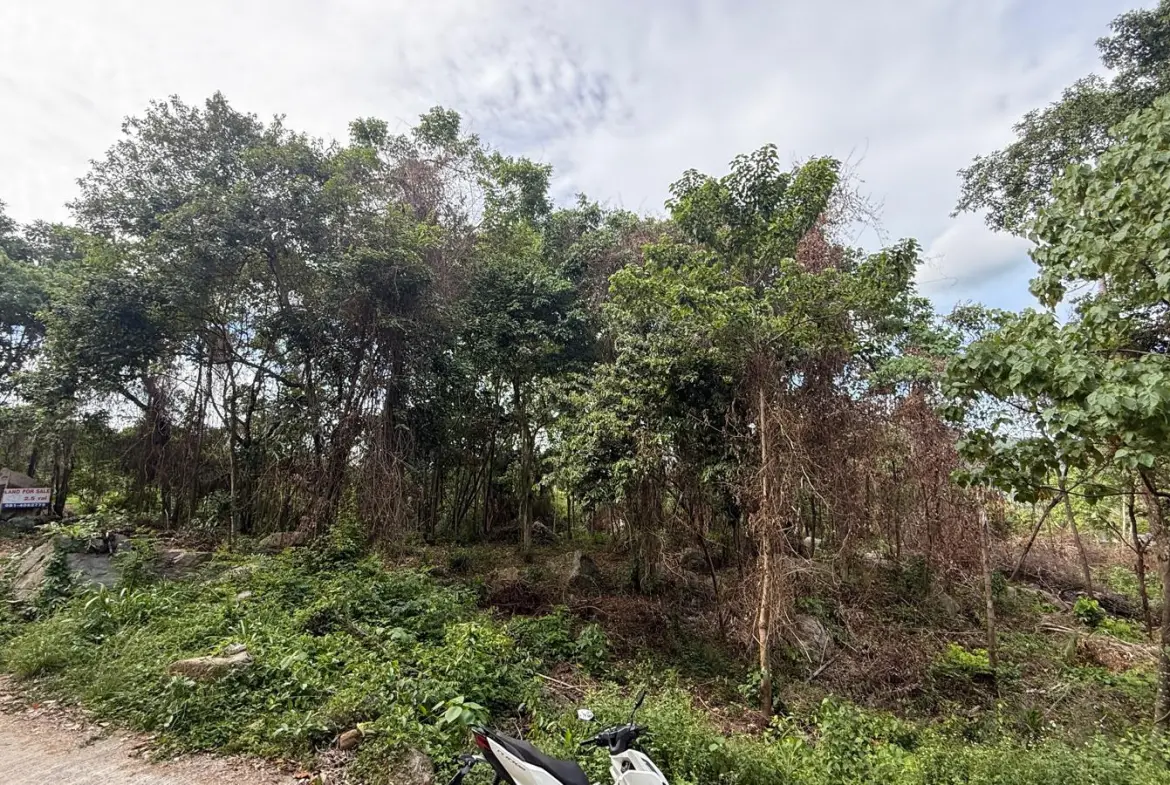 Koh Samui Land In Lamai For Sale