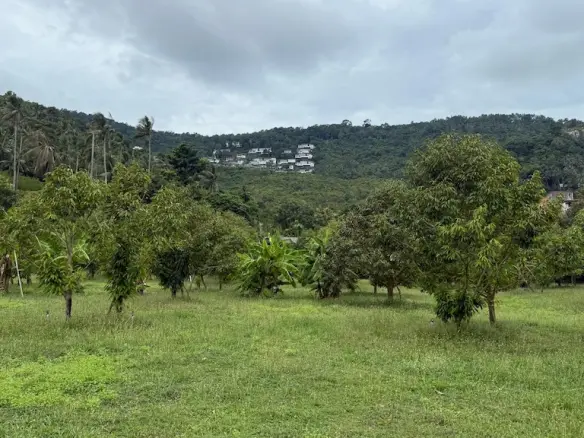 Bang Po Land Plots For Sale