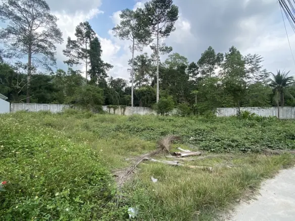 Koh Samui Land Plot For Sale In Maenam