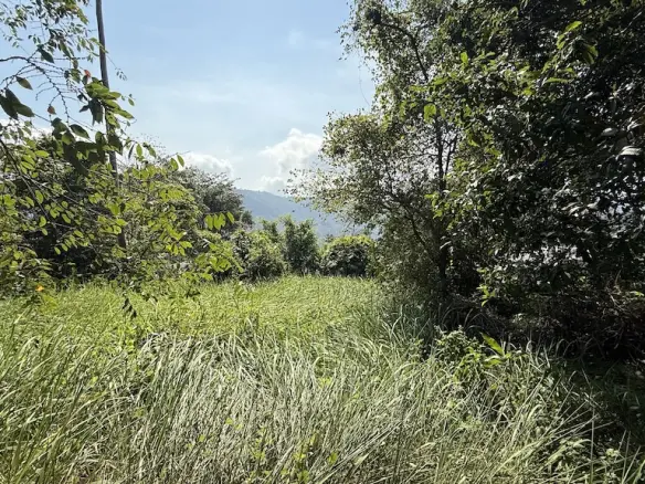 Koh Samui Development Land In Lamai