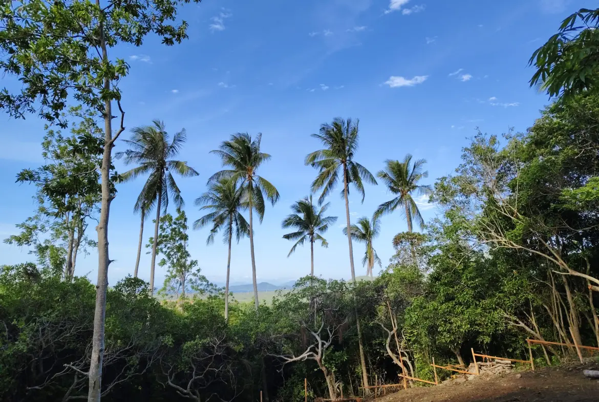 Na Muaeng Sea View Land Plot