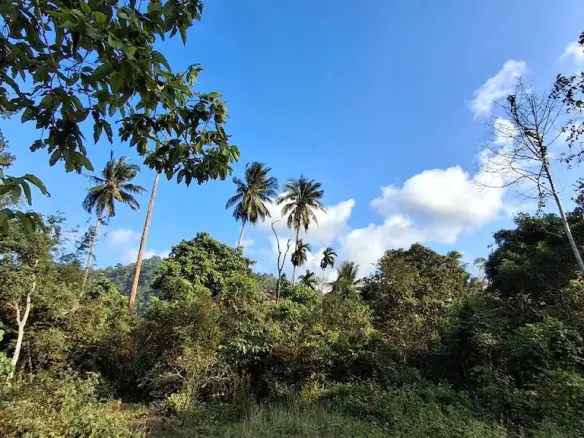 Koh Samui Land Plots For Sale
