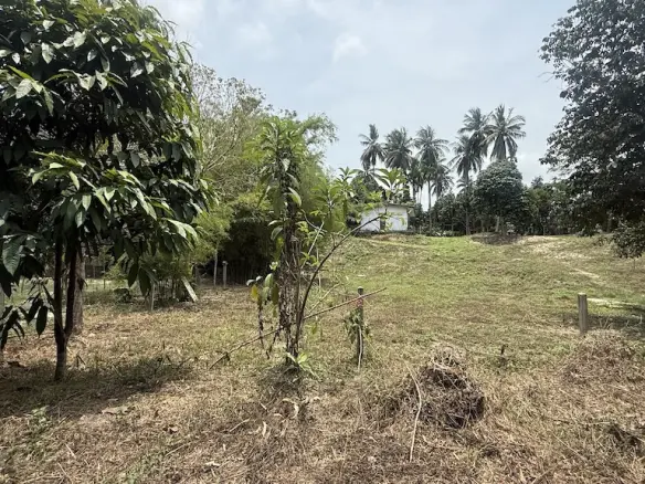 Maenam Development Land