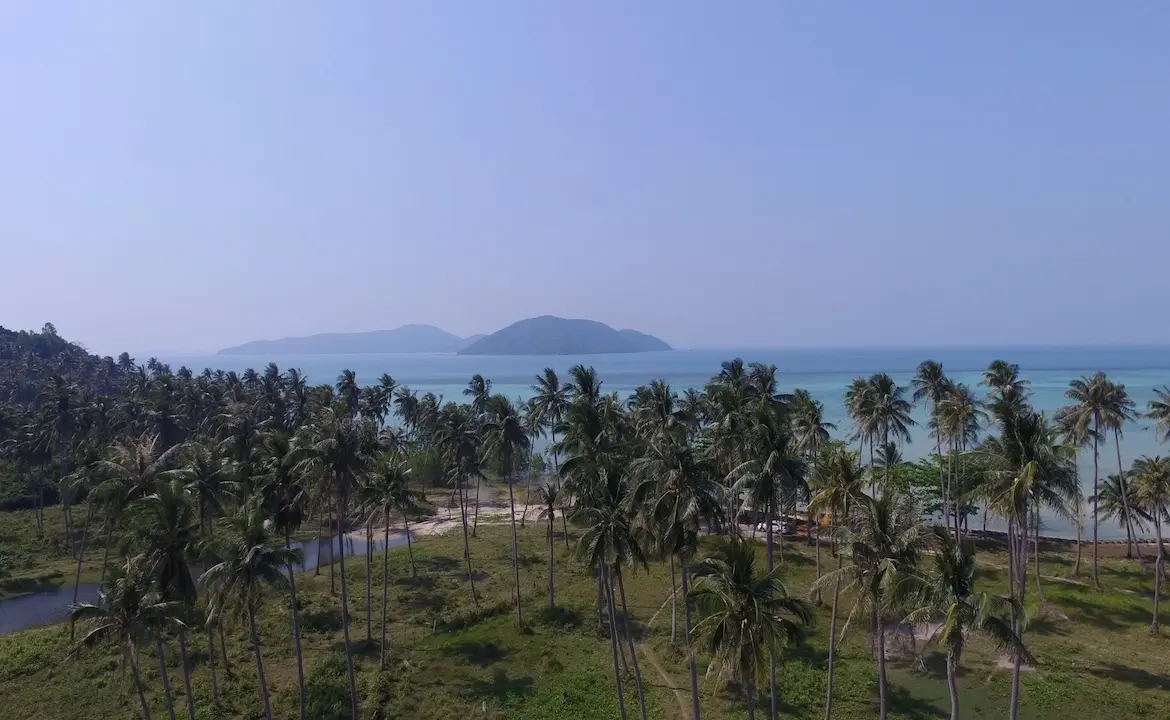 Koh Samui Beach Parcel Palms