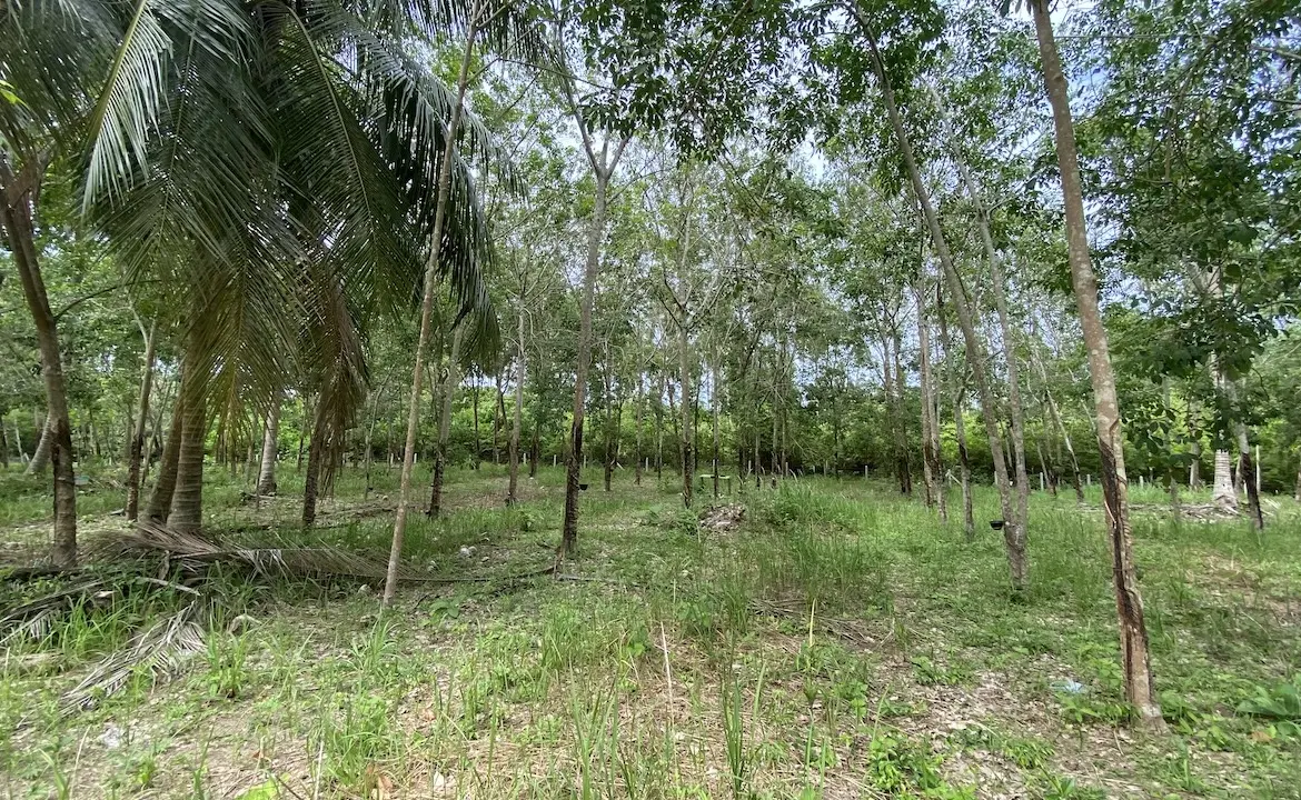 Tong Krut Land Plots For Sale