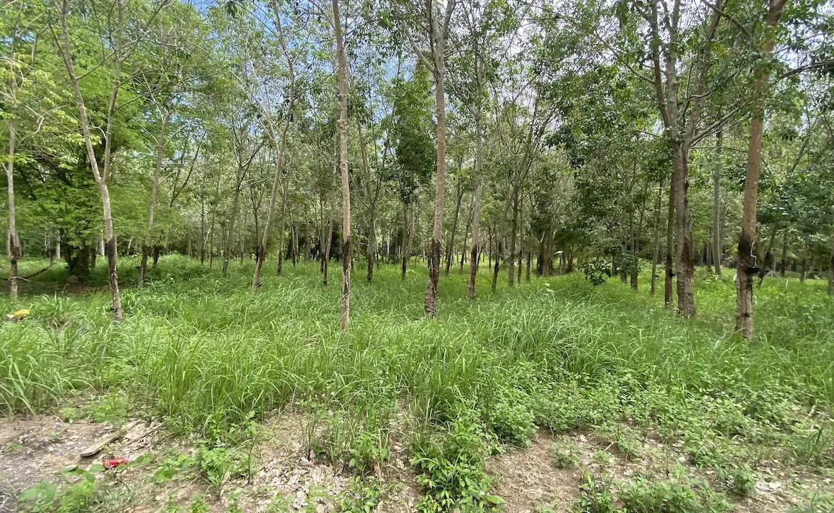 Tong Krut Land Plots For Sale