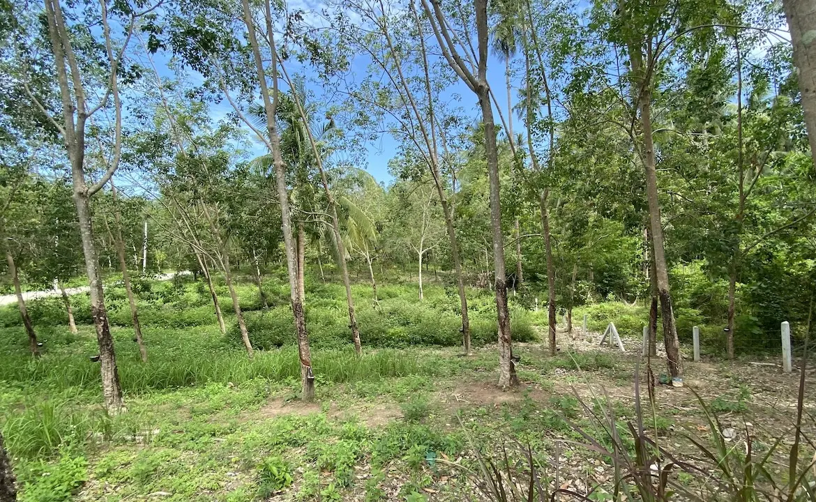 Tong Krut Land Plots For Sale