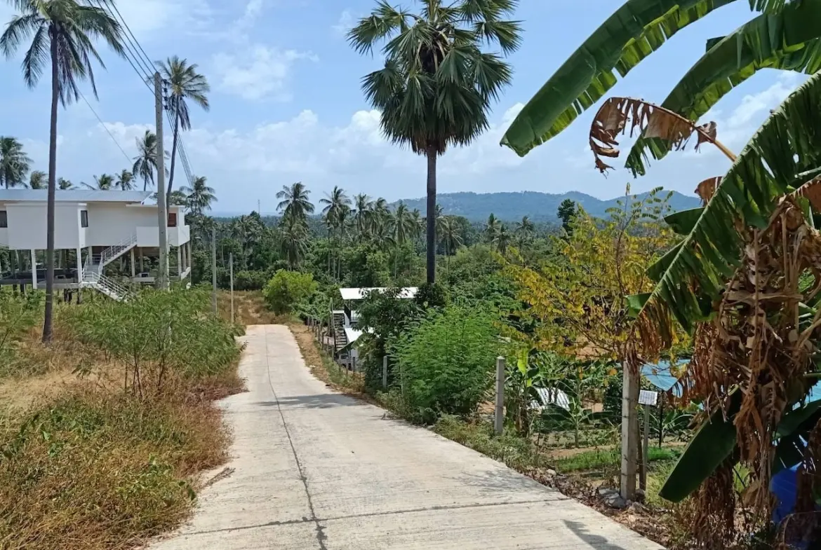 Lamai Land Plots For Sale Road